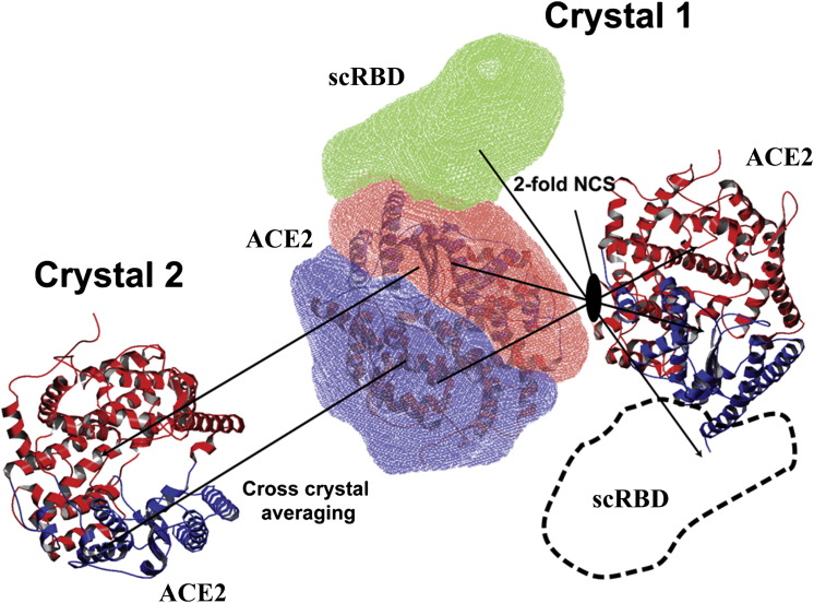 Figure 1