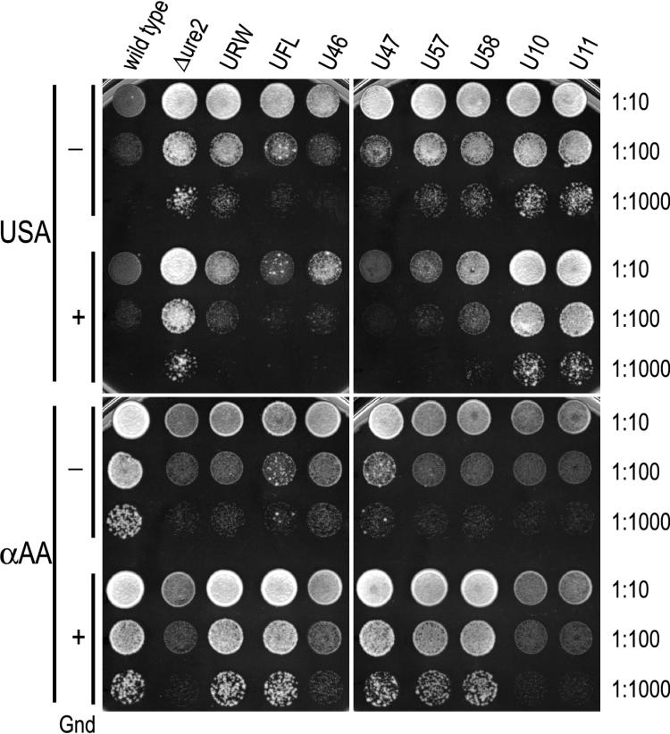 FIG. 4