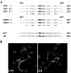 FIG. 9.