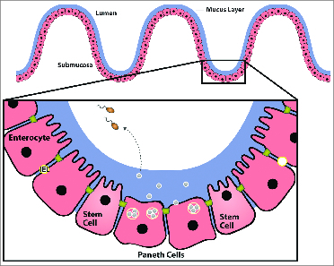 Figure 1.