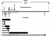 Figure  1