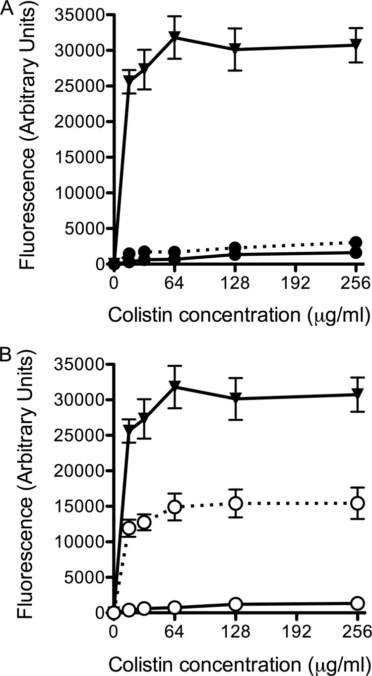 FIG 3