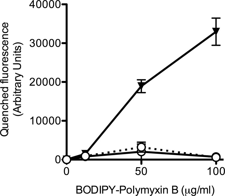 FIG 4