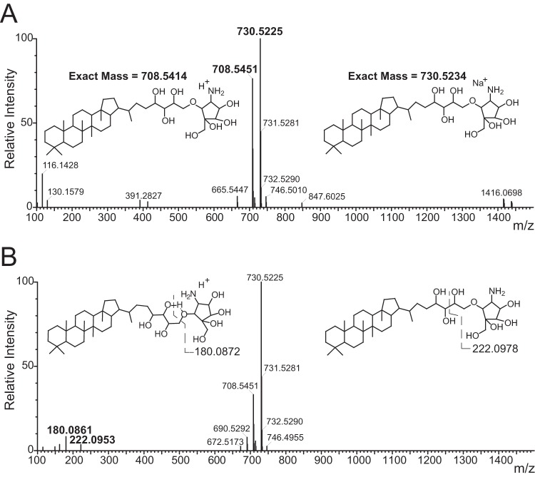 FIG 1