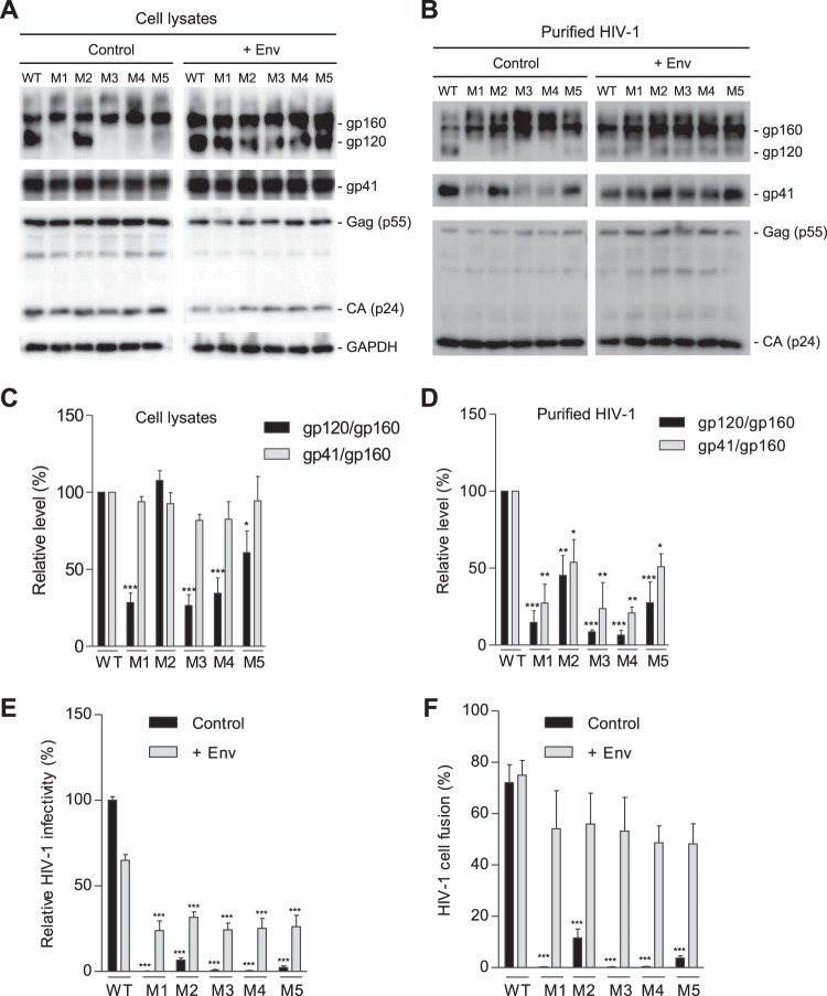 FIG 3