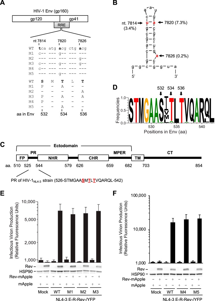 FIG 1