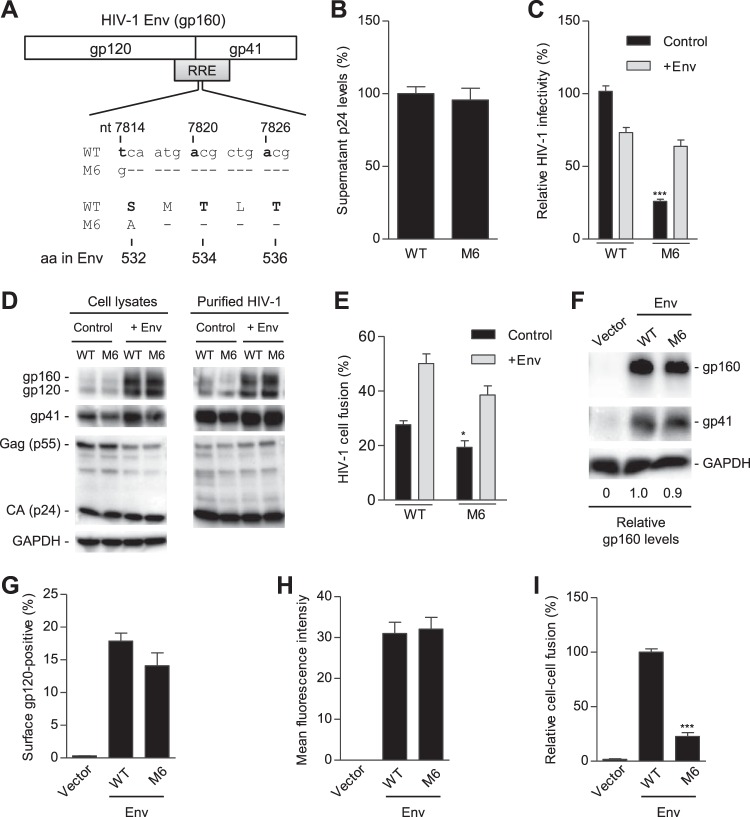 FIG 6