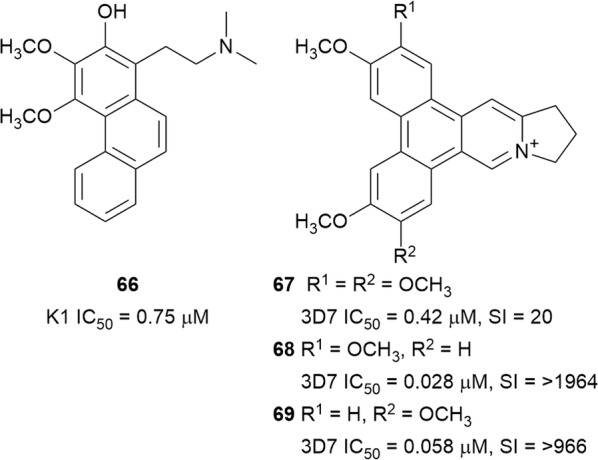 Fig. 10