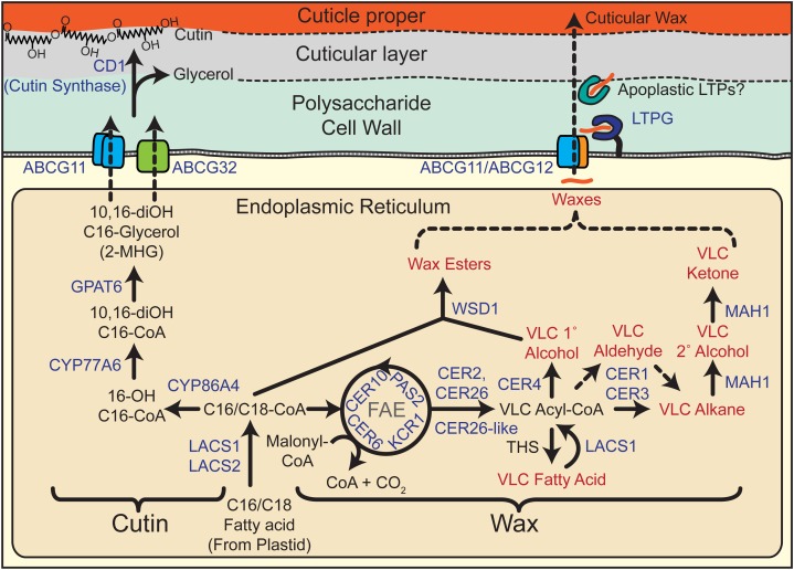 Figure 2.