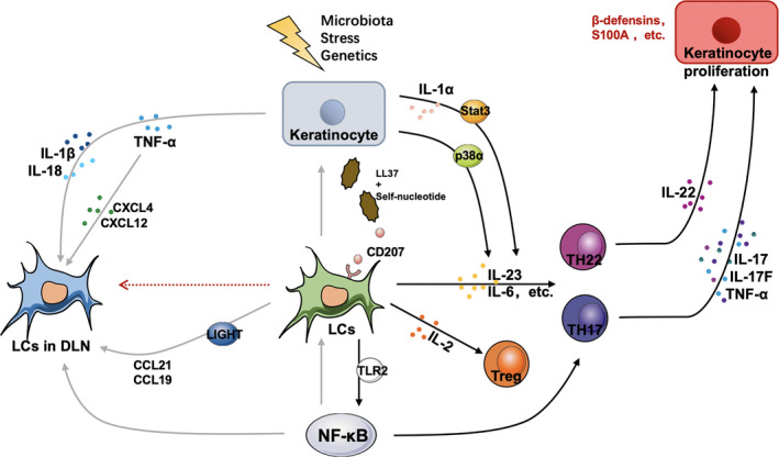 FIGURE 2