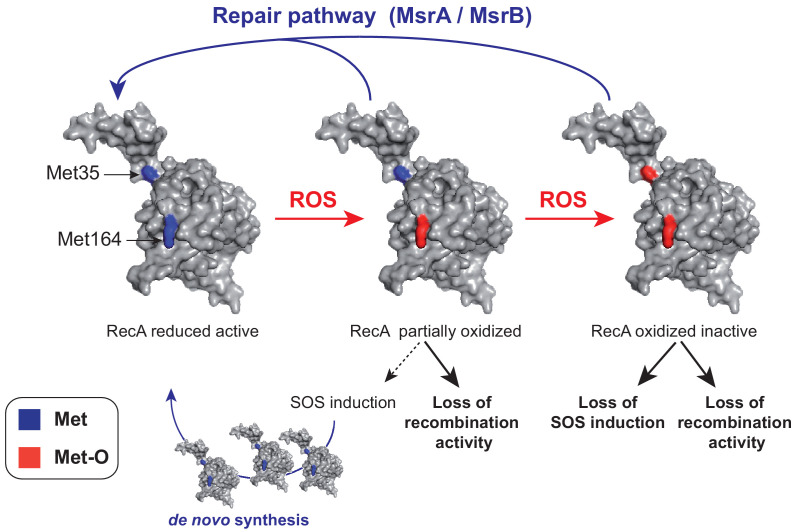 Figure 9.