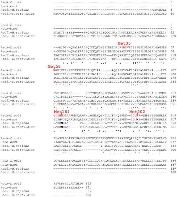 Appendix 1—figure 1.