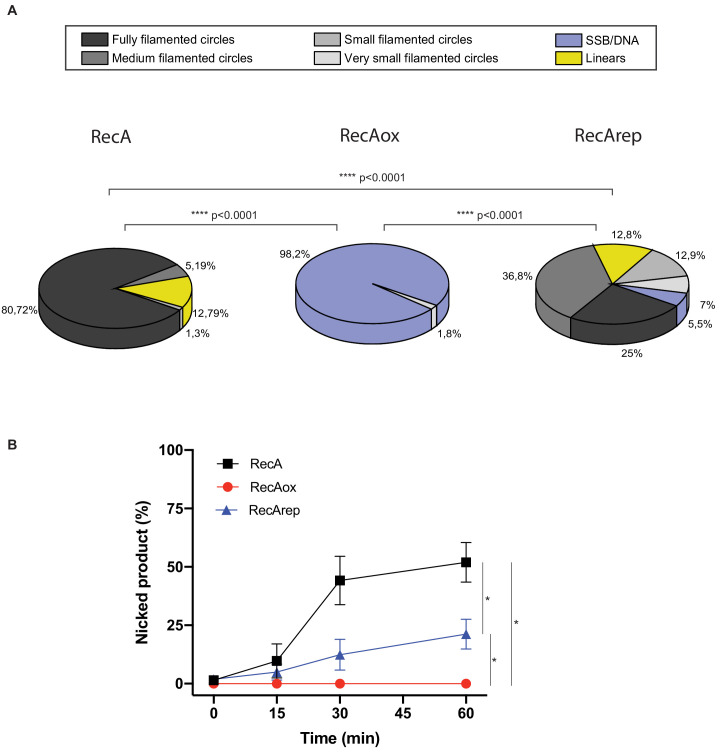 Figure 3—figure supplement 1.