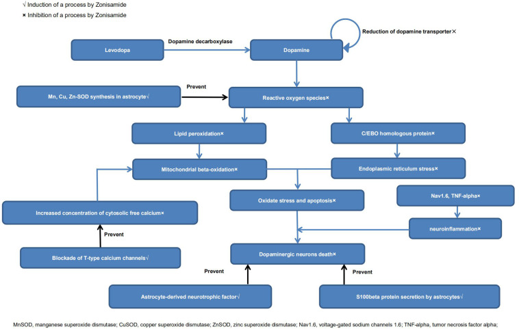 FIGURE 2