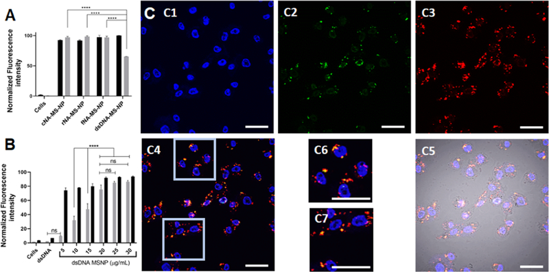 Figure 5.