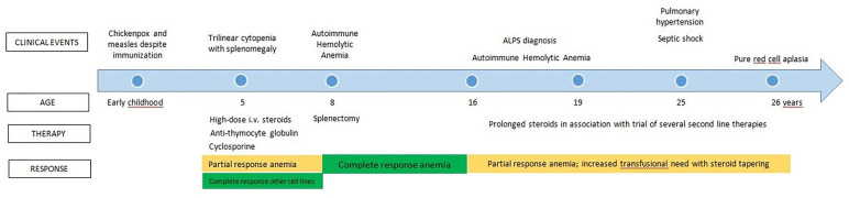 Figure 1