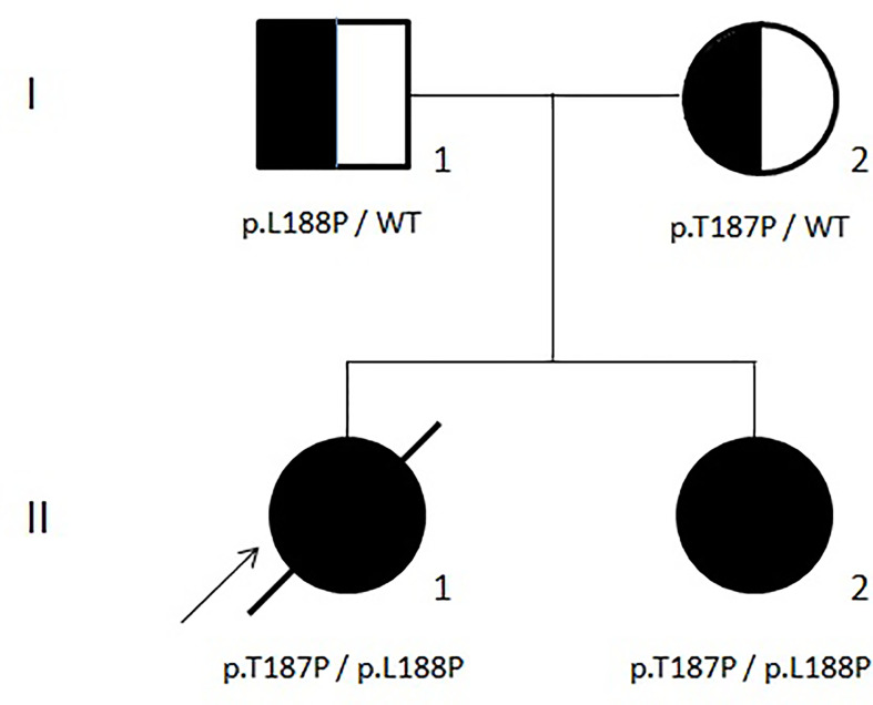 Figure 2