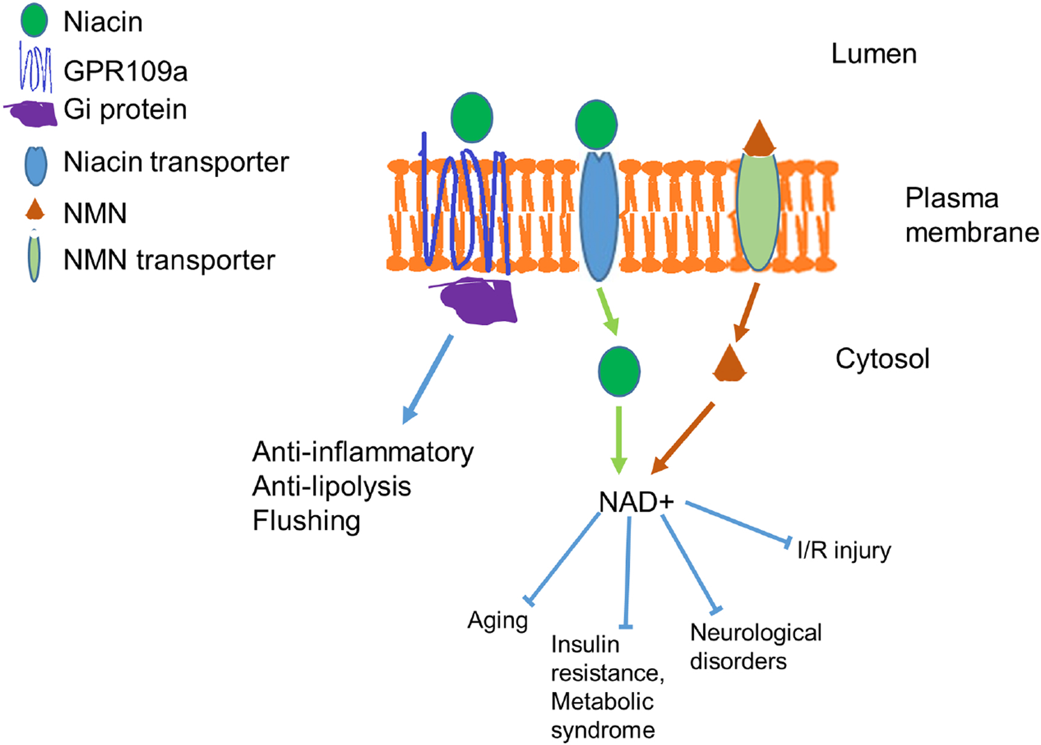 Figure 3.