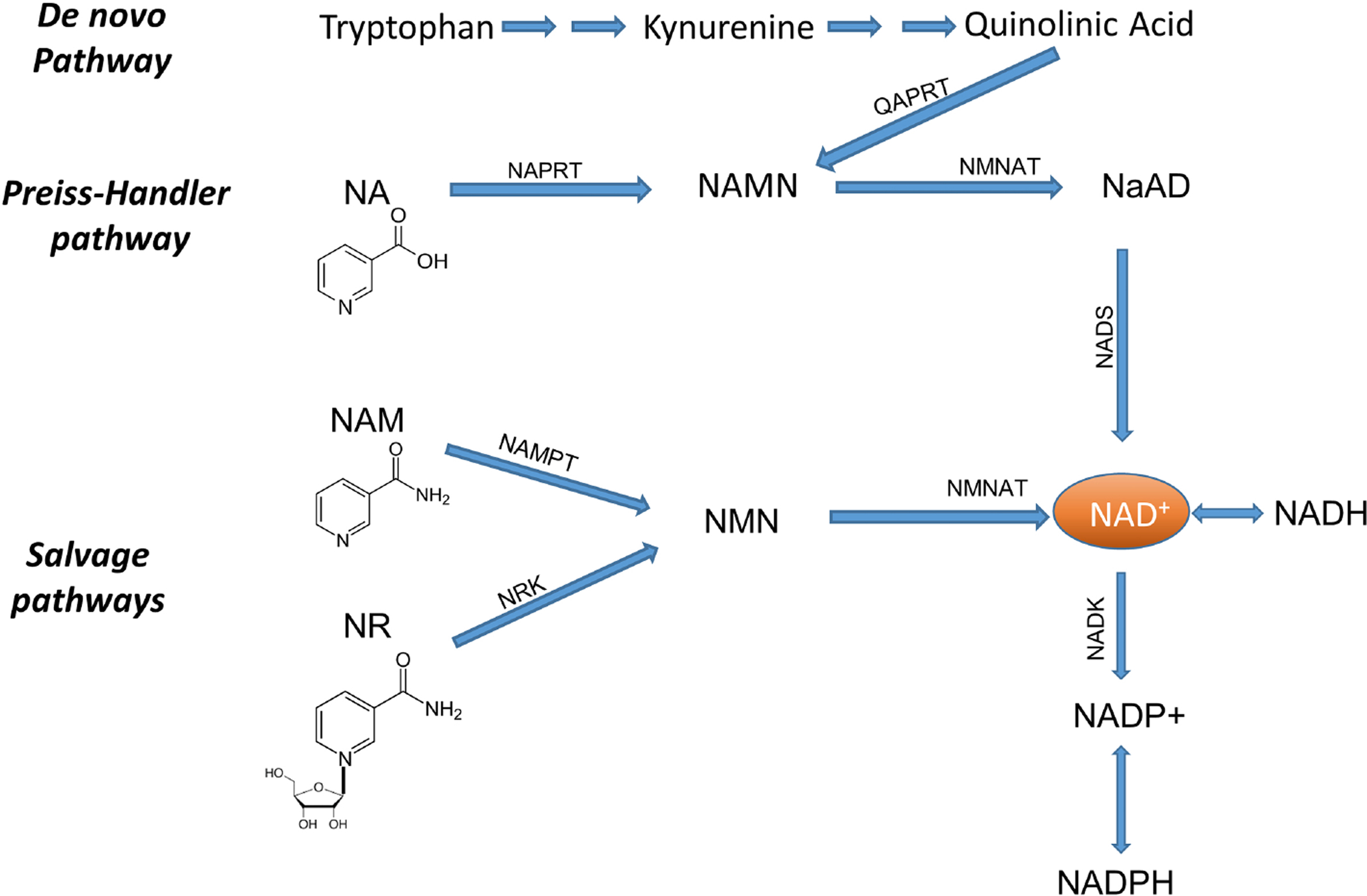 Figure 1: