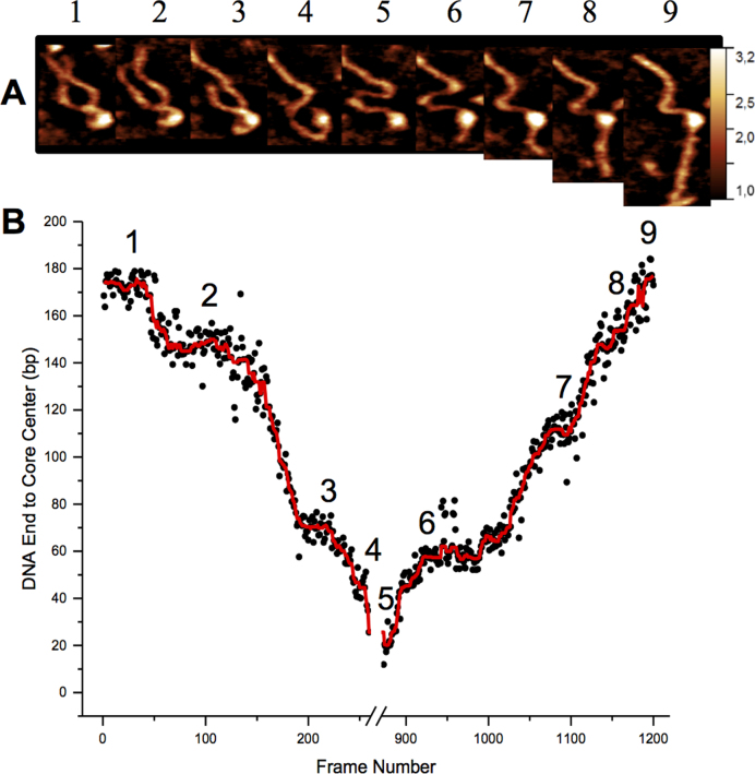 Figure 4.