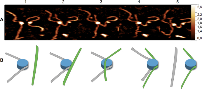 Figure 5.