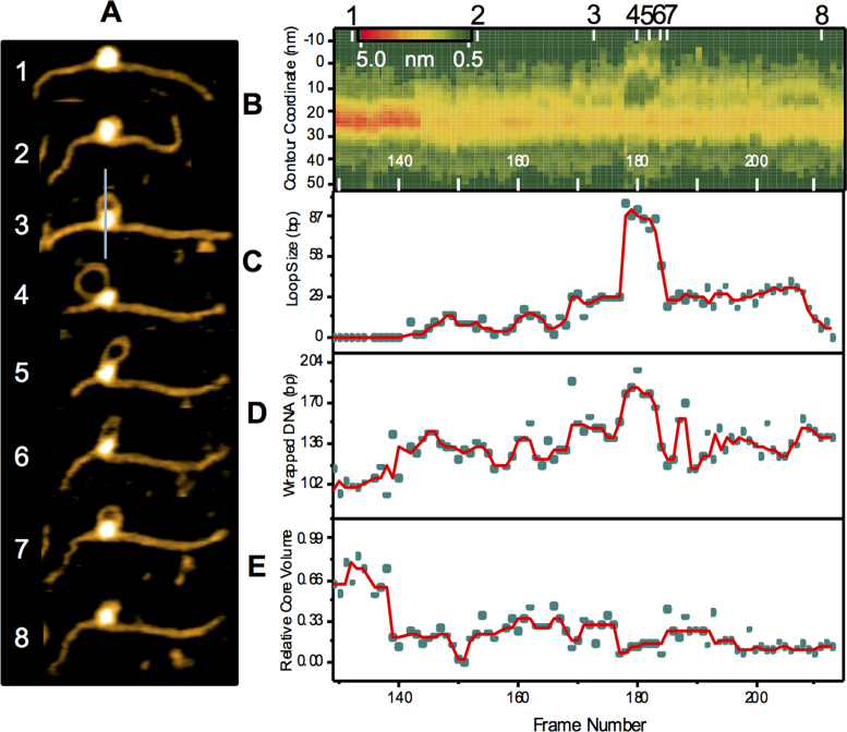 Figure 3.