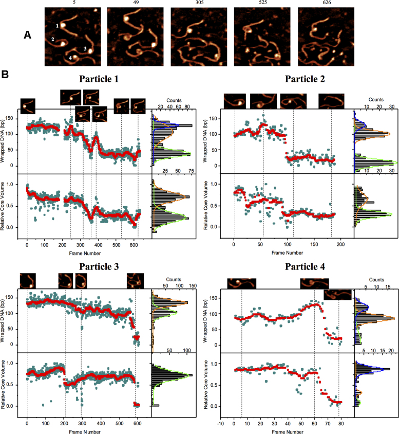 Figure 2.