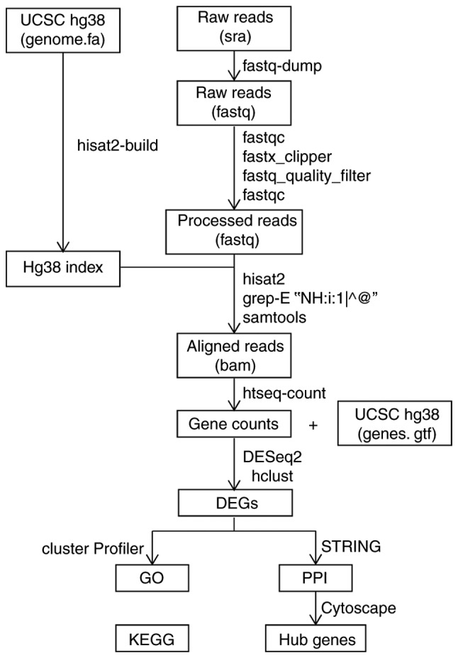 Figure 1.