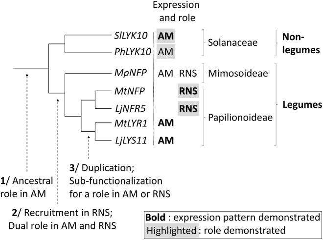 Figure 7