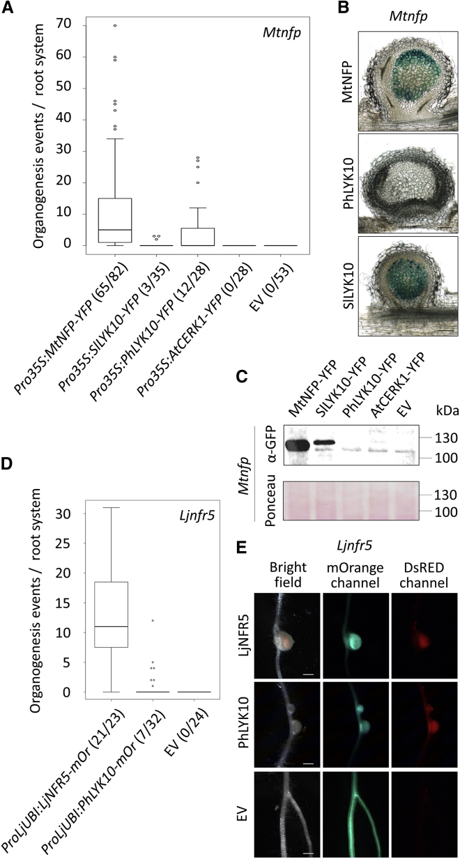 Figure 6