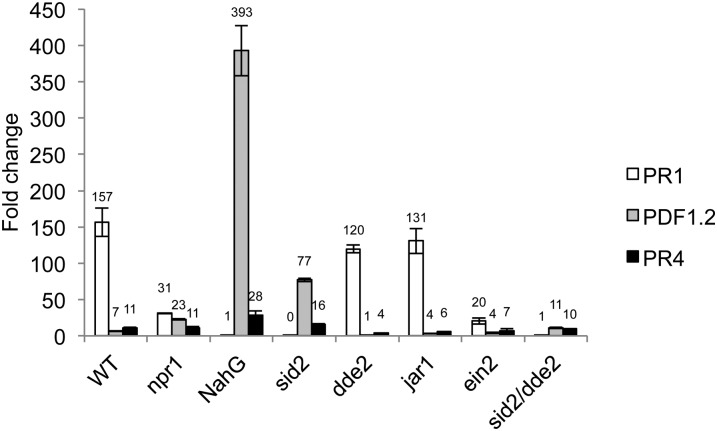 Figure 6.