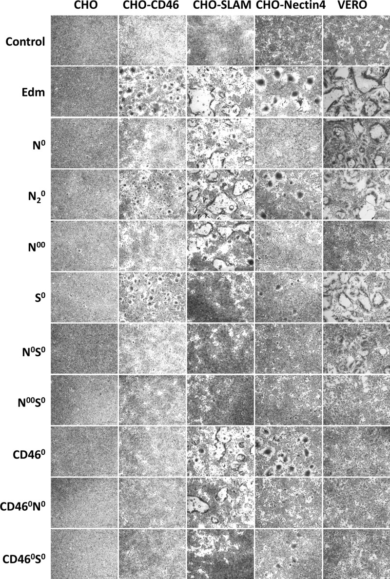 FIG 2