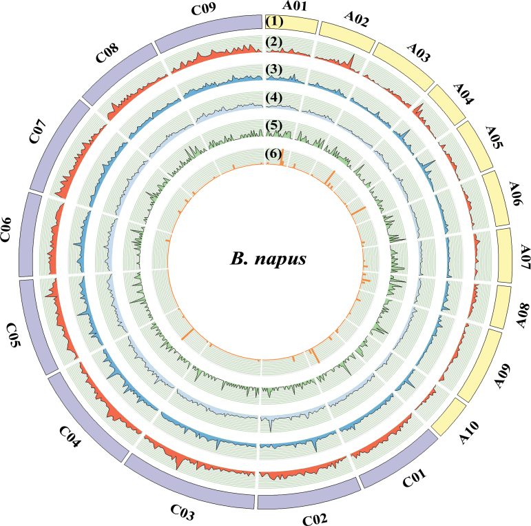 Fig. 5.