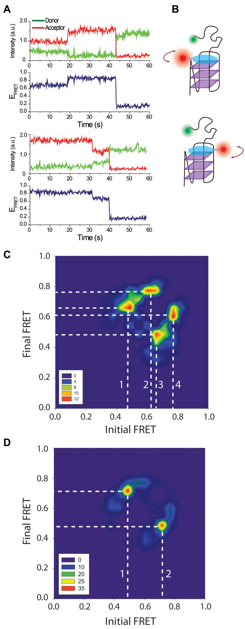 Figure 3.