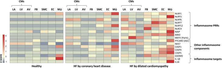 Figure 2