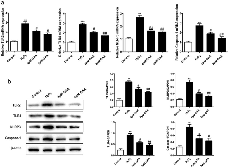 Figure 6.