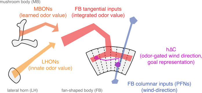 Fig. 8