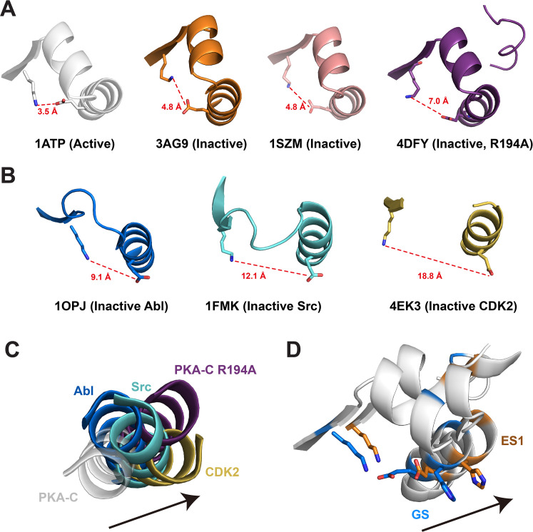 Figure 3—figure supplement 2.