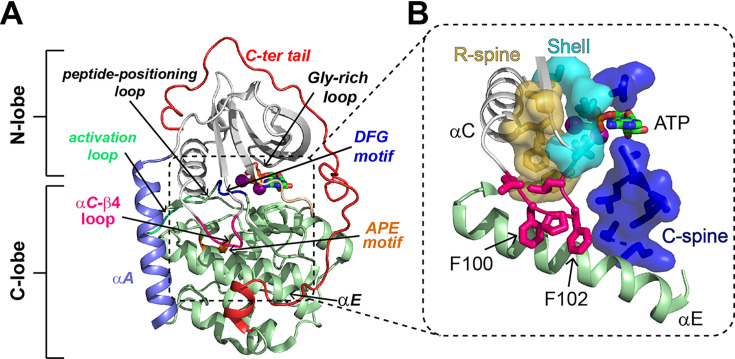 Figure 1.