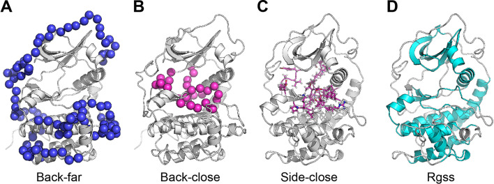 Figure 2—figure supplement 1.