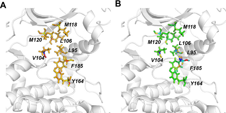 Figure 3—figure supplement 1.