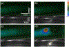 Fig. 3.