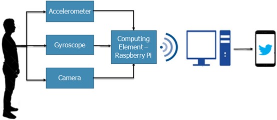 Fig. 1