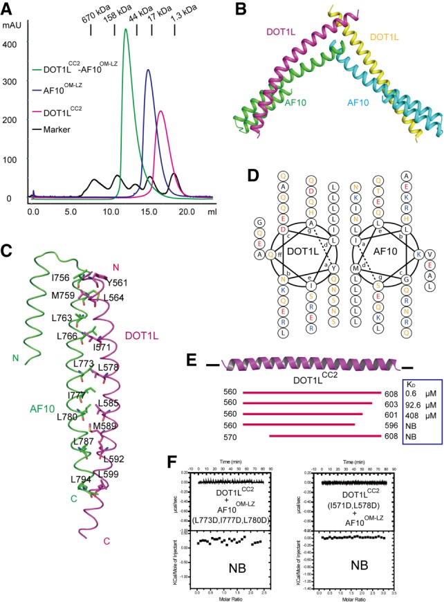 Figure 2.