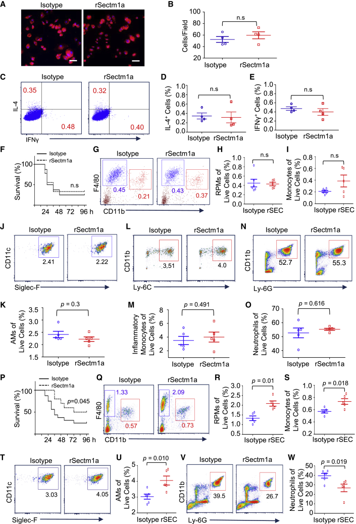 Figure 6