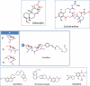 Fig. 4