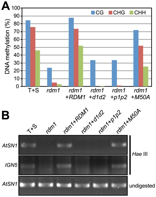 Figure 5