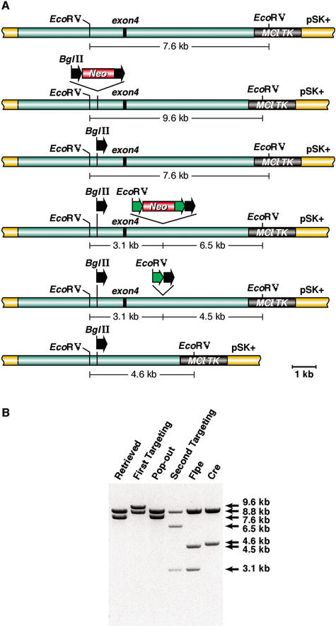 Figure 3.