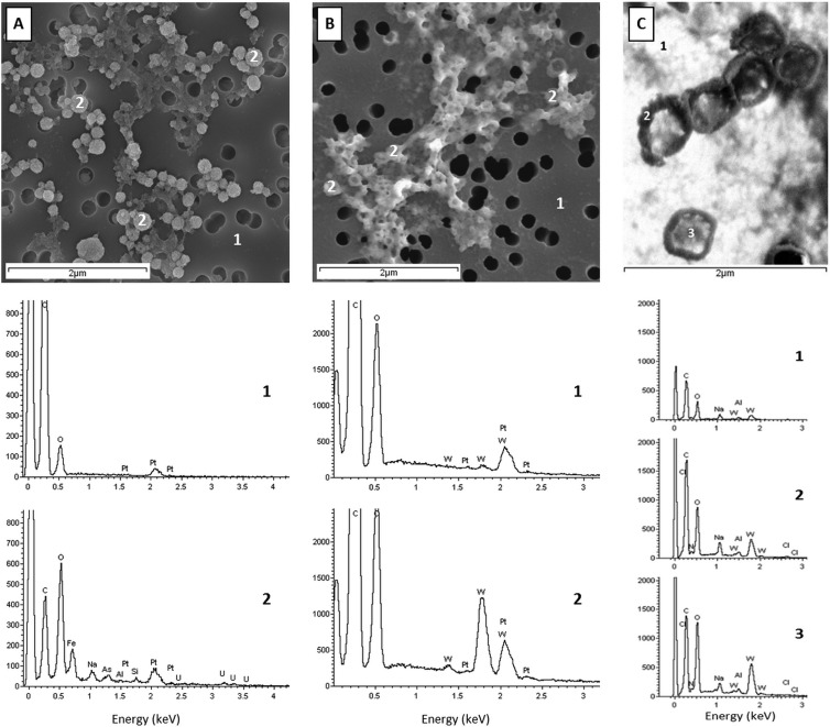 FIG 3