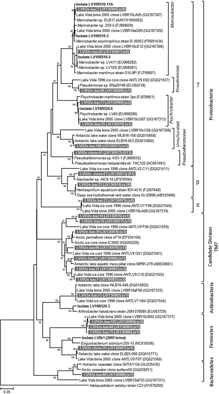 FIG 5